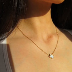 Collar Trévor Uno